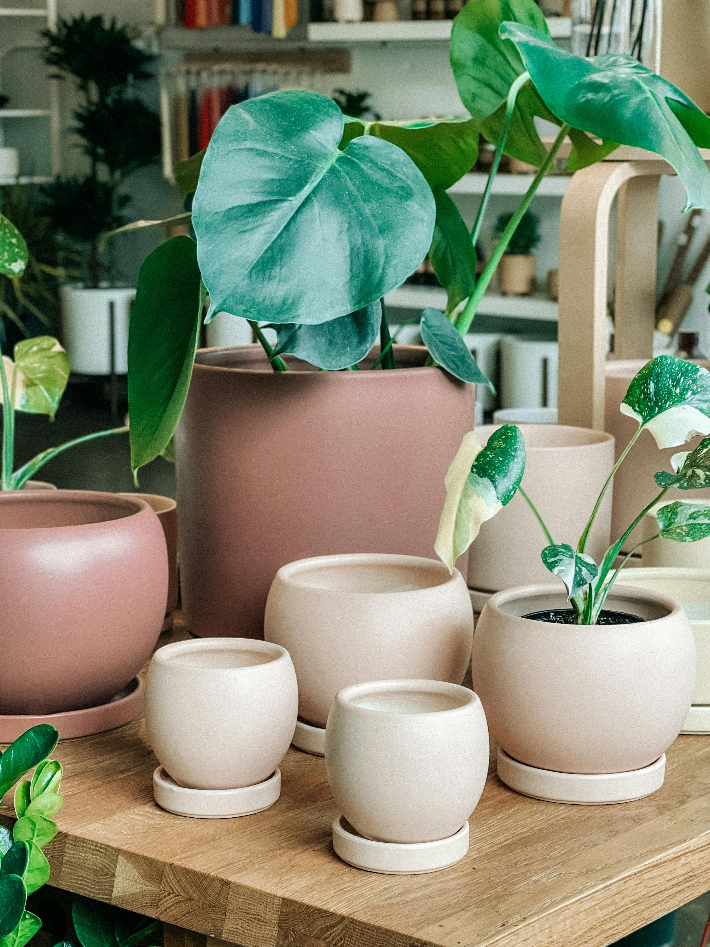 Ceramic Plant Pot - Nordic Style